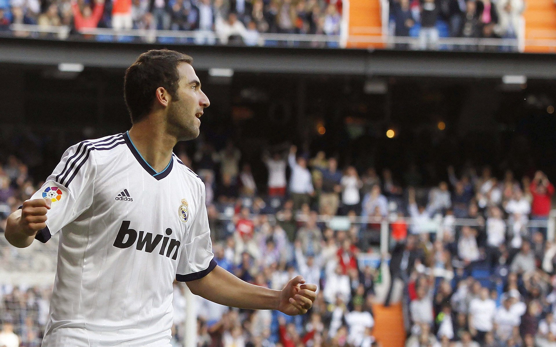 阿根廷美洲雄鹰队的进攻速度与技术,成冠军锦标赛新看点,阿根廷草原雄鹰